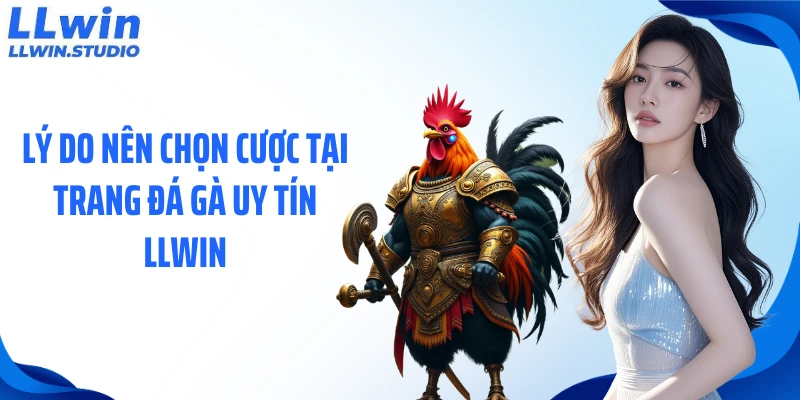Lý do nên chọn cược tại trang đá gà uy tín LLWIN