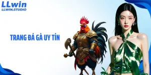 Trang Đá Gà Uy Tín LLWIN: Giải Pháp Theo Dõi Đấu Kê Tối Ưu